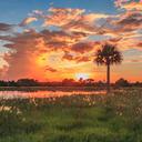 Landon Snider - @BCSportsFlorida - Twitter