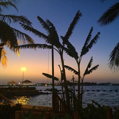 MawahebM's profile picture. 