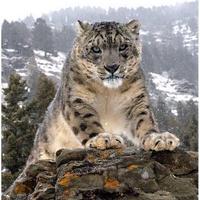 Mārtiņš V. (@martinmartinv_v) 's Twitter Profile Photo