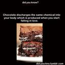 Bailey Hoffman - @mizbay4 - Twitter