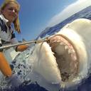 Louise Bennett-Jones - @LBJ_Photos - Twitter