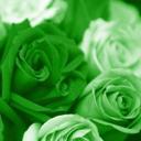 Bailey S - @BaileyStokes23 - Twitter