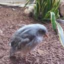 Kara Springer - @springer42kd - Twitter