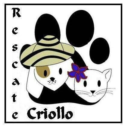 Rescate Criollo Dejando tu Huella. Grupo de voluntarios buscando mejorar la calidad de vida de la fauna callejera.