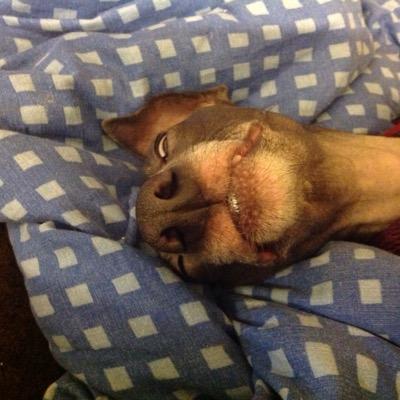 tickers59's profile picture. 