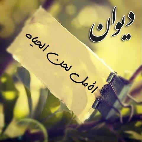 شاعر ورئيس إتحاد طلبه