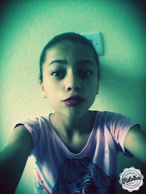 selenator&Flyer