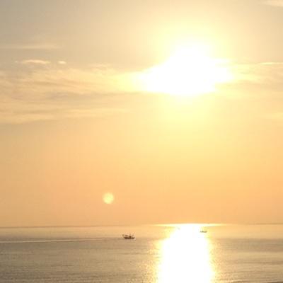 ADABRANCIAROLI's profile picture. 