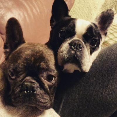 koaraman526's profile picture. 大雪山の麓、地下水のおいしい町に住んでいます
いつかバイク乗りに復活する日を夢見てます