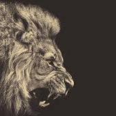 Denoube's profile picture. Every day is a NEW beginning, take a deep breath and START AGAIN.