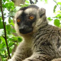 CLiCK (@anto_yissa) 's Twitter Profile