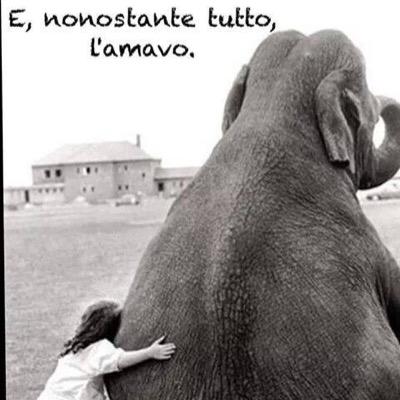 Carax87's profile picture. 