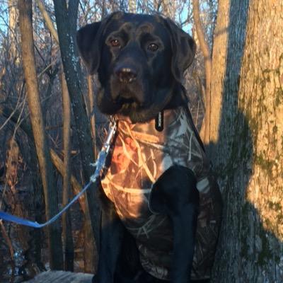 twilliams_tyler Profile Picture
