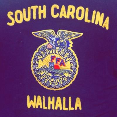 WalhallaFFA's profile picture. 