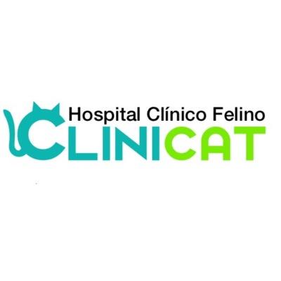 Somos catlovers!!!!! Hospital Clínico Felino Viña del Mar (32) 2695244