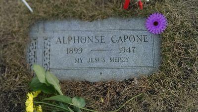 77ciceroMike's profile picture. 