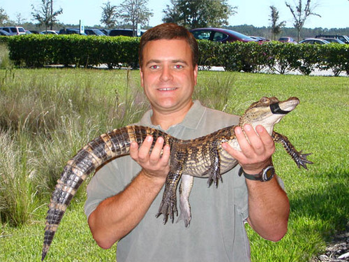 piercesteve's profile picture. 