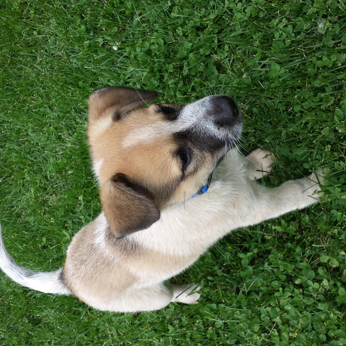 thegroommeister's profile picture. 