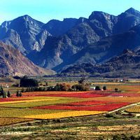 2010_africa's profile picture. 2010 Tourist: South Africa