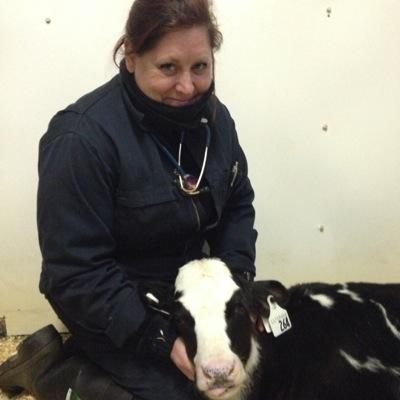 College Professor, University of Guelph, Ridgetown Campus, Veterinary Technology