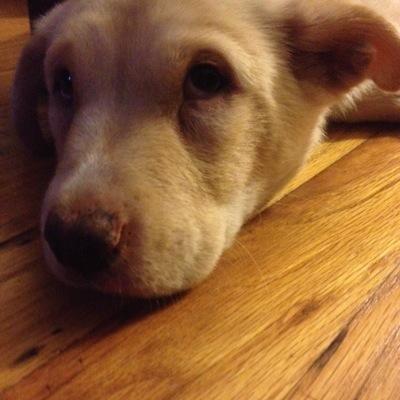 erinlynn0314's profile picture. 