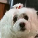 Pat  - @pat_therrien - Twitter