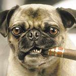 VA7PUG's profile picture. Ham Radio/G Scale Trains