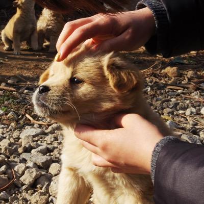 higgsblossom's profile picture. 이것저것 관심 많아요, 맞팔은 예의죠.