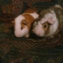 Devin Dyer - @dyerdevin16 - Twitter