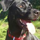 Kris Tanner - @kbisit - Twitter