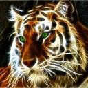 Sienna Black - @sarahbetteridg1 - Twitter