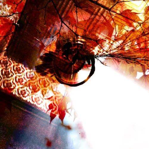 LostMaples's profile picture. @glenda // vocals+guitar+machines. @ryanjohnjackson // guitar+control.  there, in the balance, ever old, ever new.