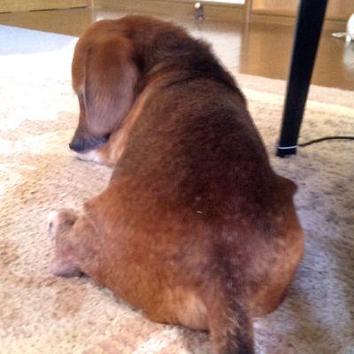 休みの日はのんびり散歩してます。文房具や眼鏡を欲しがります。気になる方をこちらからフォローさせて頂くことがあります、みなさんのセンスを分けて下さい！！