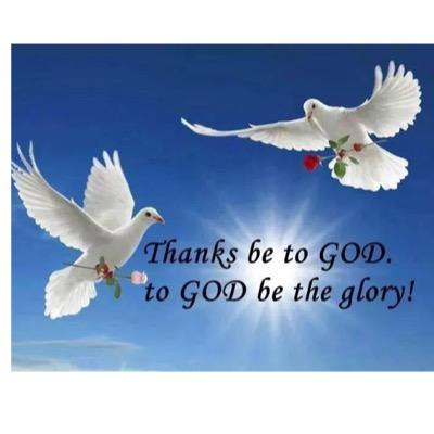 VHosokawa's profile picture. 