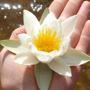 crowdtapp's profile picture. 