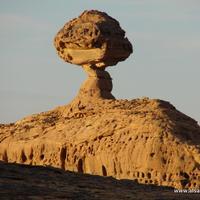 فريق الصحراء (@alsahrateam) Twitter profile photo