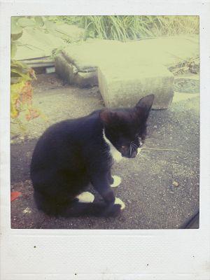 rekwmr's profile picture. 