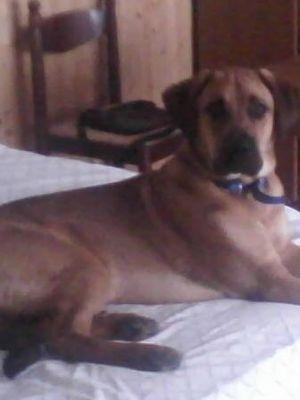 c3b8297b7ede4d8's profile picture. 