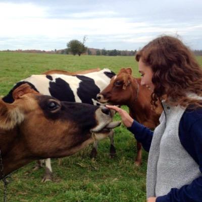 nevesteams's profile picture. 