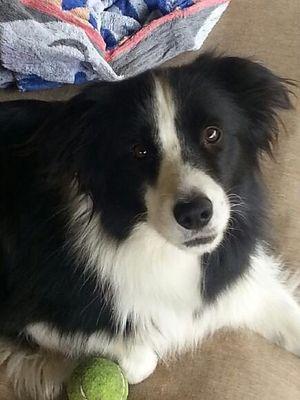 nsmith0315's profile picture. 