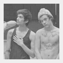 follow @DreamftHarry