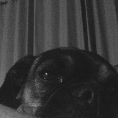 i am a sexy ass female dog and my name is IO (eye oh). Actress