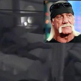 Who's got the largest arms in the world, Brother!? Me, Hulk Hogan! #OneHitBrothers (PARODY/TROLL ACCOUNT. NOT @HulkHogan.)