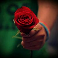 رأفت (@raafatehk) Twitter profile photo
