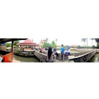 afifaahamalia's profile picture. Agribisnis UGM'16 GadjahLampung'16| Aka21