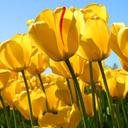 Kate Steward - @Smilin_kate - Twitter