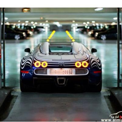 DatcWywU4TnwcVE's profile picture. 