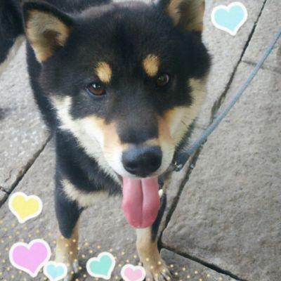 堀金→町校→長野医専2OT