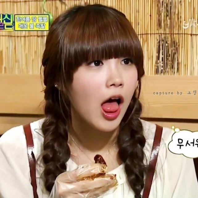 에픽하이 / 윤하 / 에이핑크 / 아이유 / 단간론파 / 역전재판 / 음악 / 뮤직비디오