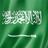 AlNoamani01's profile image